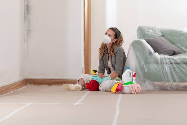 Reliable Mold Remediation contractor in Lakeville, MN by WQB Mold Removal